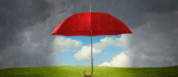 Article : UNE VIE A DEUX