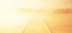 Article : D&rsquo;&Eacute;TERNIT&Eacute;